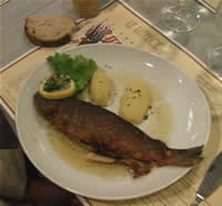 Trout