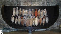 amphora